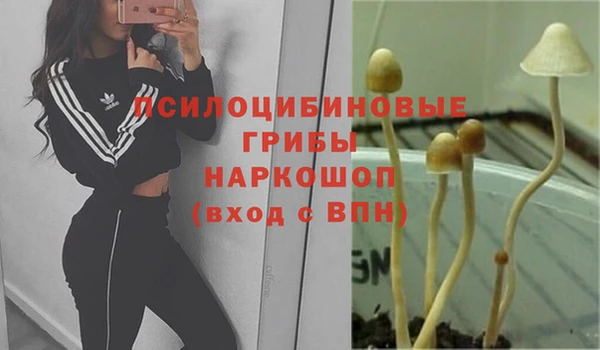 гашиш Мегион