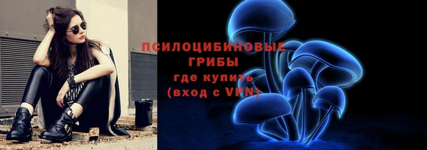 не бодяженный Михайлов