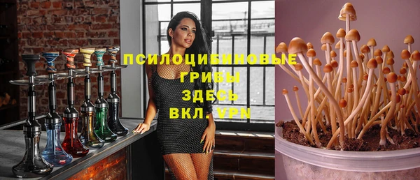 Альфа ПВП Михайловск