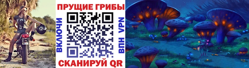 нарко площадка формула  Оха  Галлюциногенные грибы MAGIC MUSHROOMS 